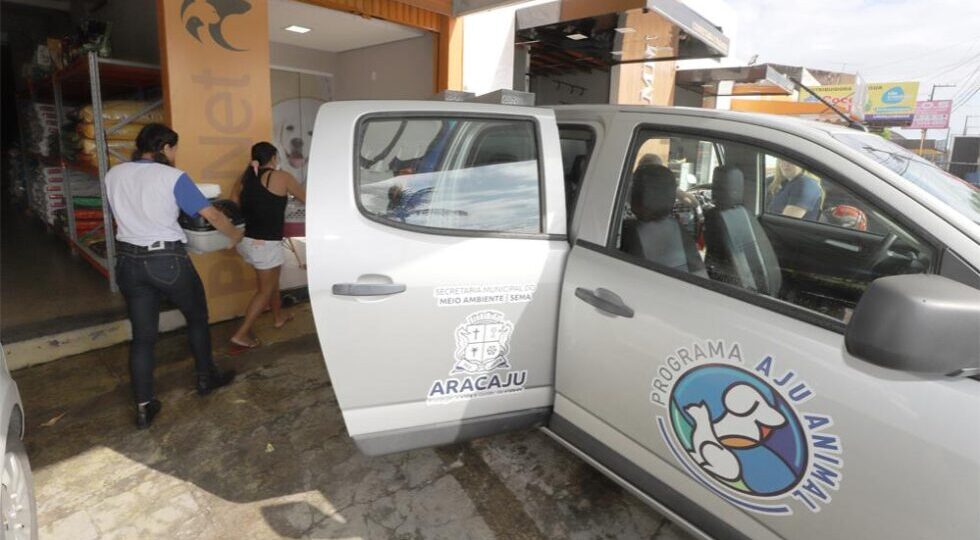 Aju Animal: 1ª Campanha de Adoção do programa ocorre neste sábado, 11