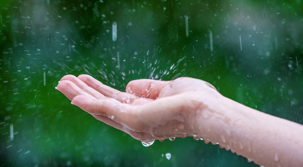 Close-up of wet female hands in rain