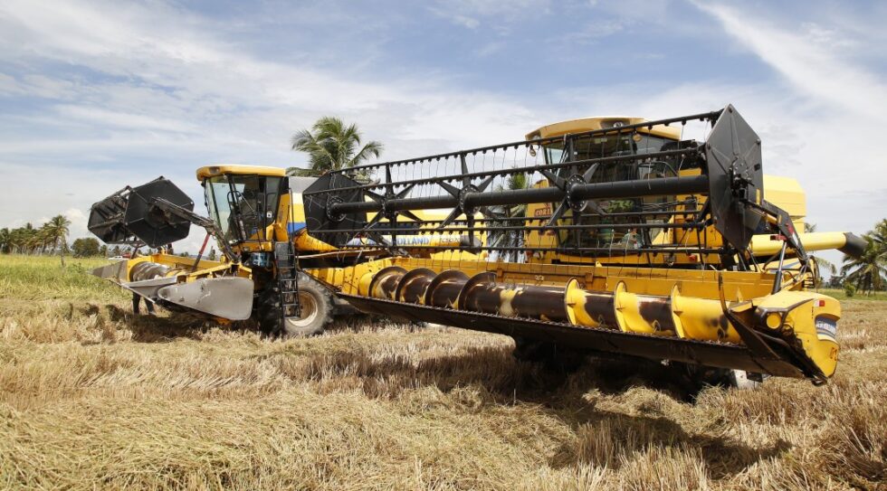 Safra de arroz registra recorde mais uma vez em Sergipe