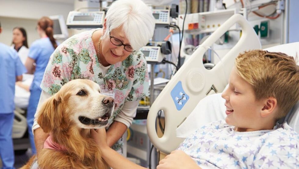 Aprovado projeto que institui a Terapia Assistida por Animais em Sergipe